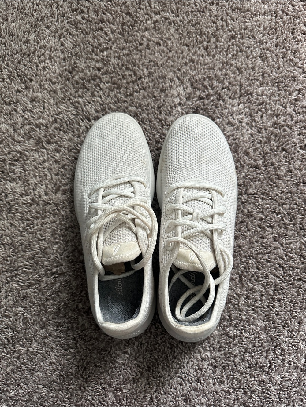 Allbirds White Sneakers Women’s Size 10 Great Condition!